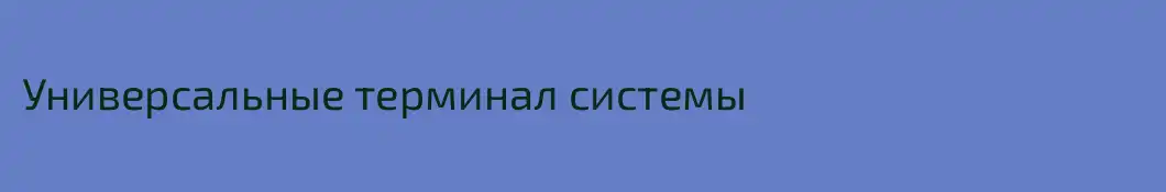 Универсальные терминал системы